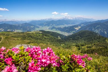 Blick ins Tal | © Flachau Tourismus