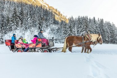 Pferdeschlittenfahrt | © Flachau Tourismus